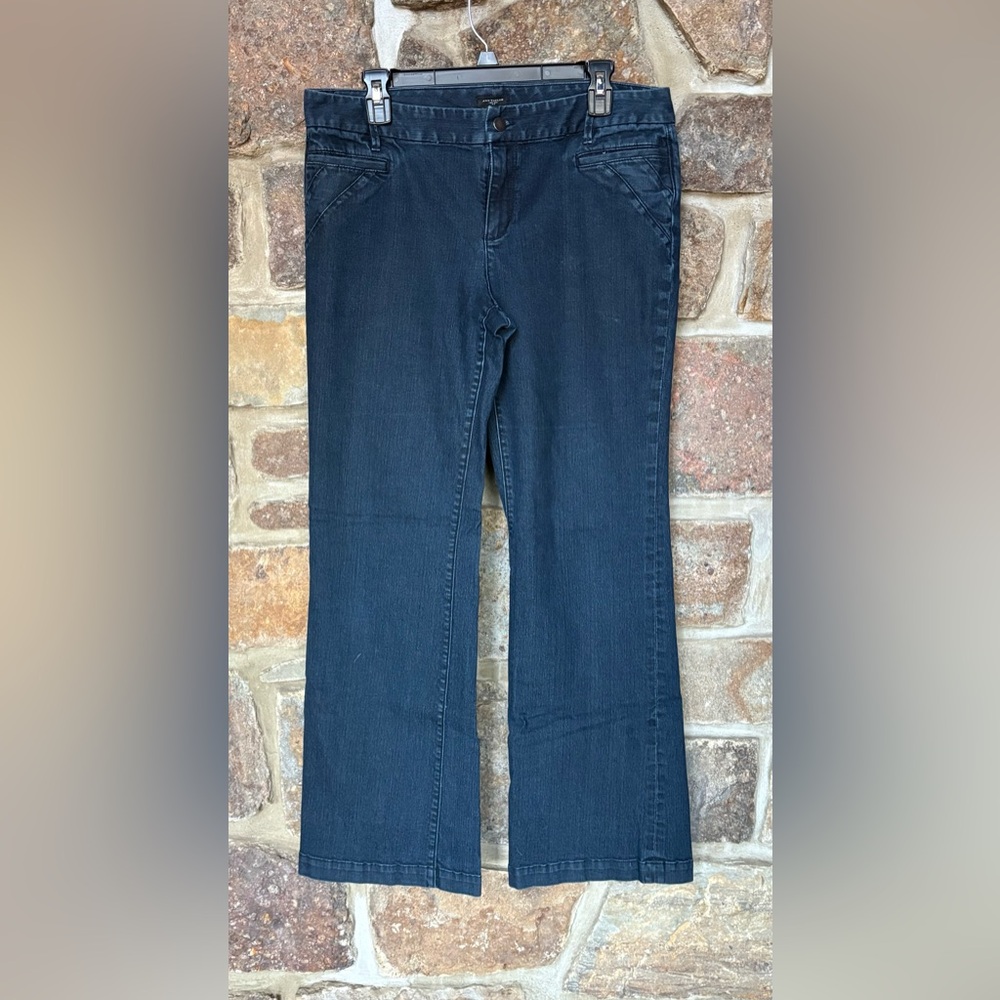 ANN TAYLOR SIGNATURE JEANS